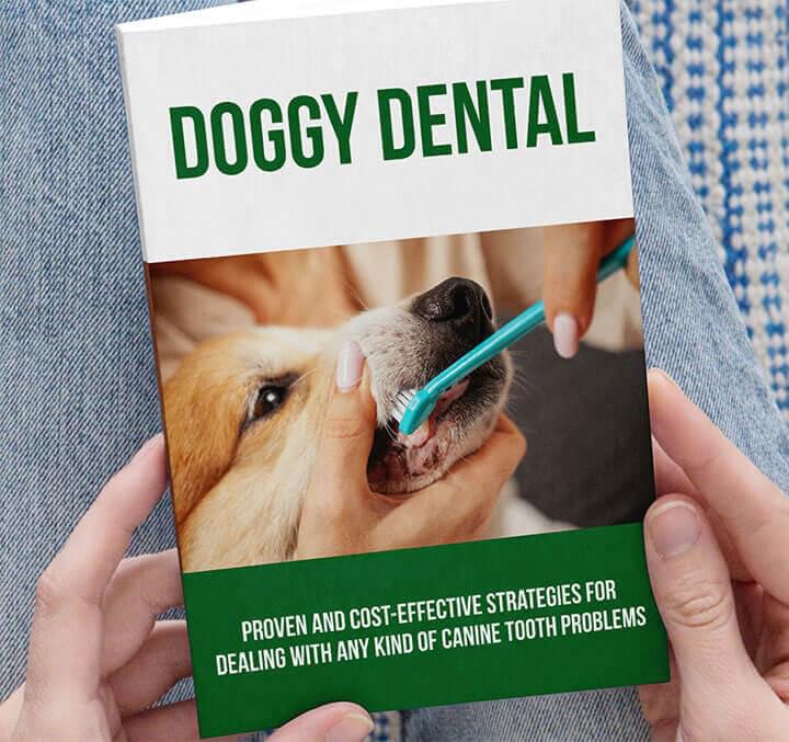 Doggy Dental Wellness Guide