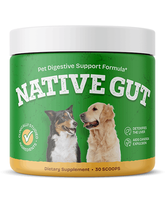 NativeGut dog digestive health supplement supporting gut balance, nutrient absorption, and overall wellness