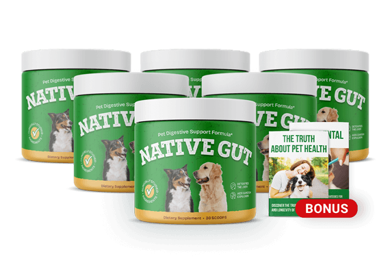 Buy NativeGut pet gut health supplement online for digestion support and immune health